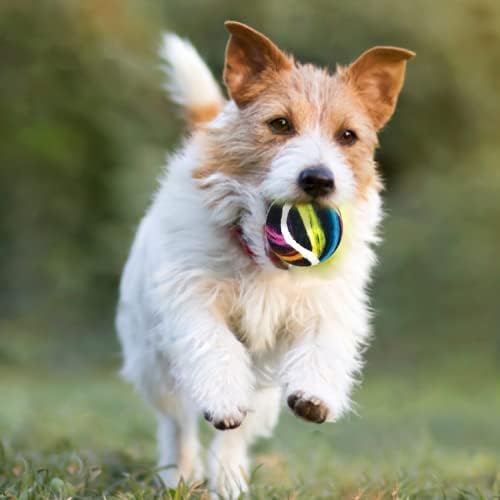 כדורי טניס לכלבים צעצועי כלבים מצחיקים צעצועים לעיסה להתעמלות ואימונים | 6 חבילות צבעוניות תפיסה קלה לתפוס כדור כלב לחיות מחמד | 2.6 צעצועי